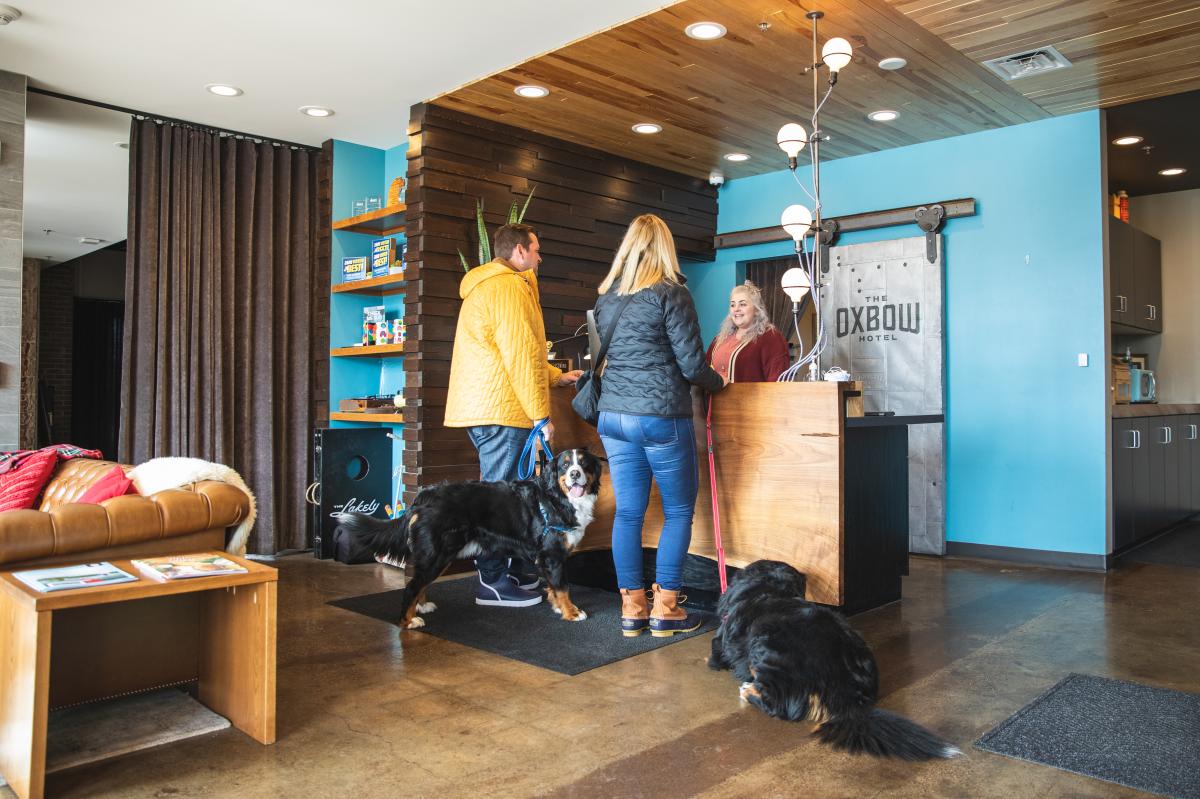 a couple checking in at the Oxbow Hotel with their dogs