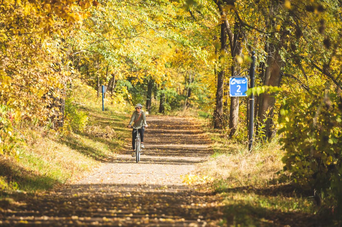 A woman riding her bike through the fall colors on the Chippewa Valley State Trail in Eau Claire, WI