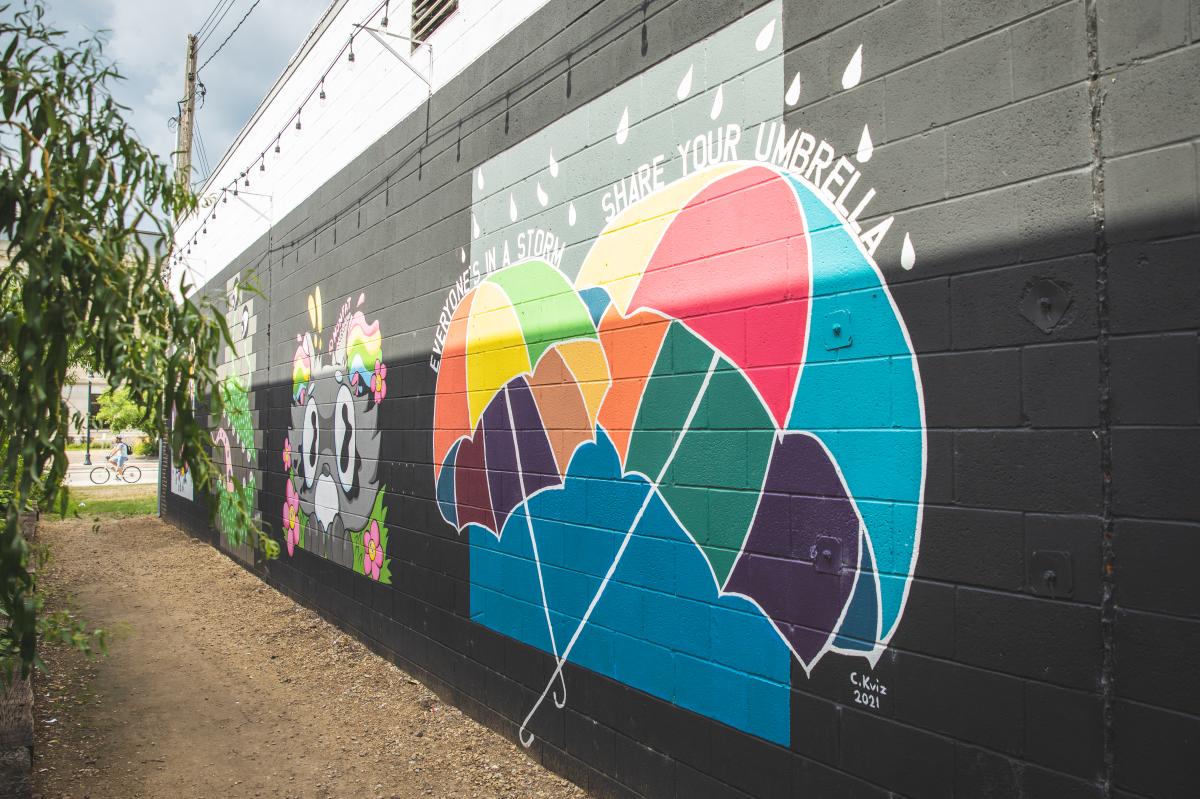 An alleyway decorated with different murals as part of Eau Claire's ColorBlock program