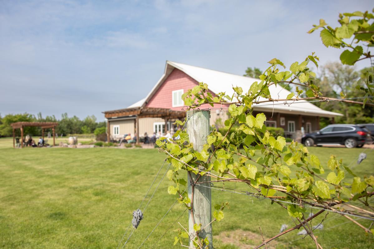 The exterior of the River Bend Winery and Distillery during the summer