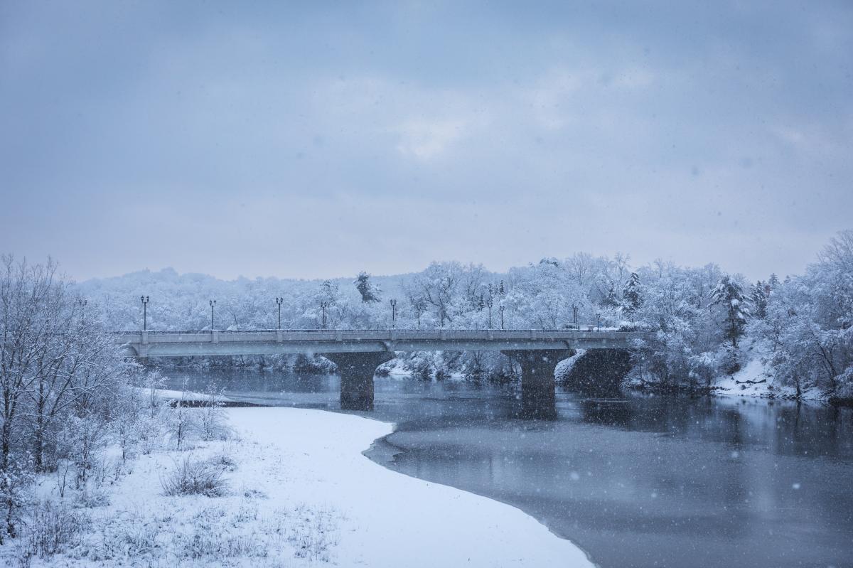 a photo of snow covered trees and the UWEC footbridge in Eau Claire