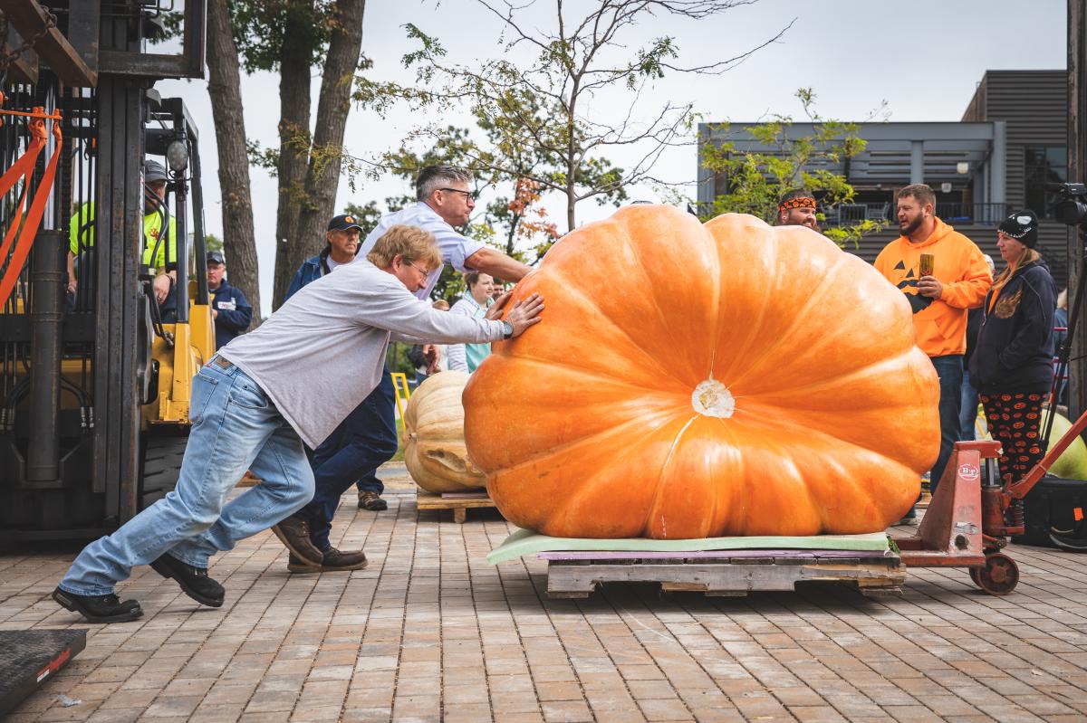 Ginormous Pumpkin Festival