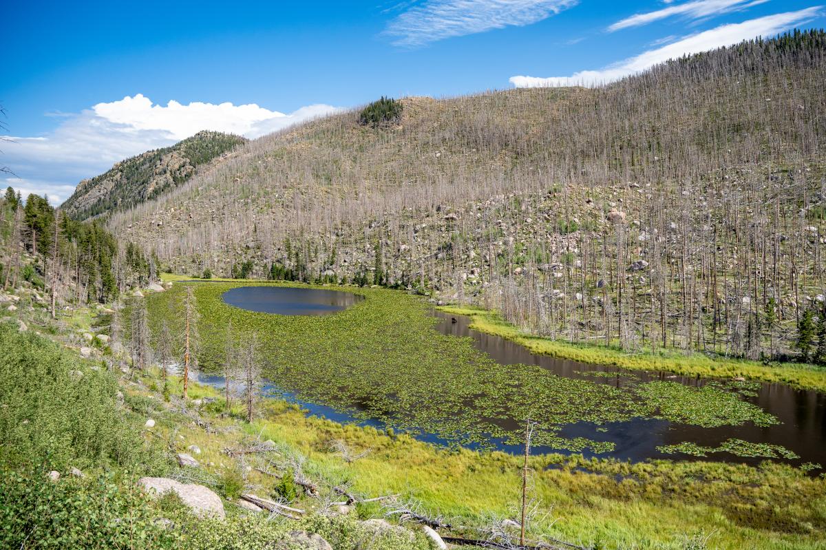 Cub Lake