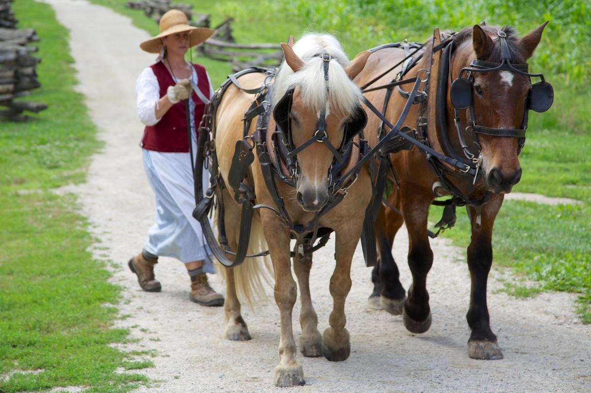 George Washington's Mount Vernon