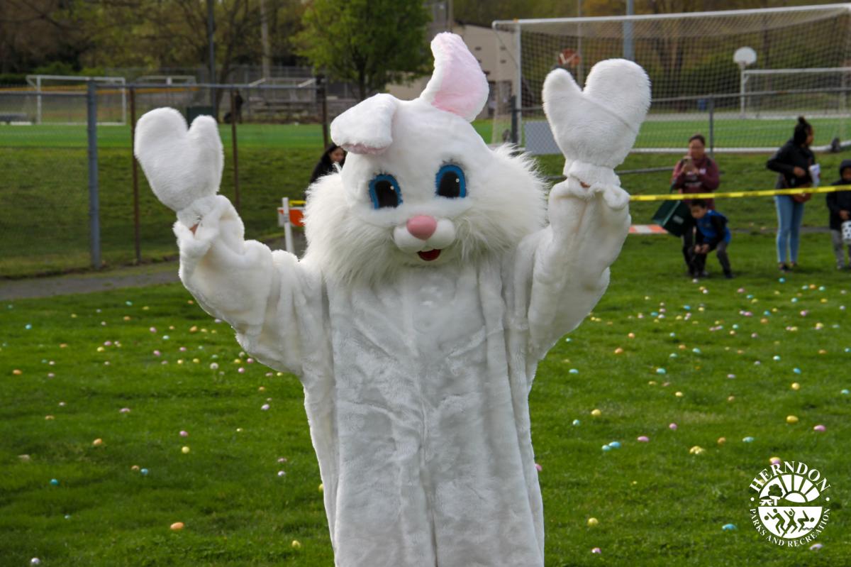 Egg Hunt - Easter Bunny- Town of Herndon