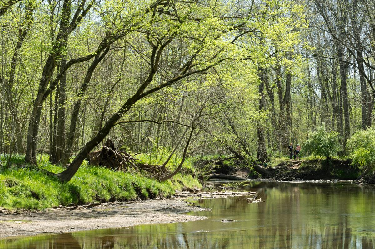 A Small Family Admiring a Stream at Bull Run Regional Park