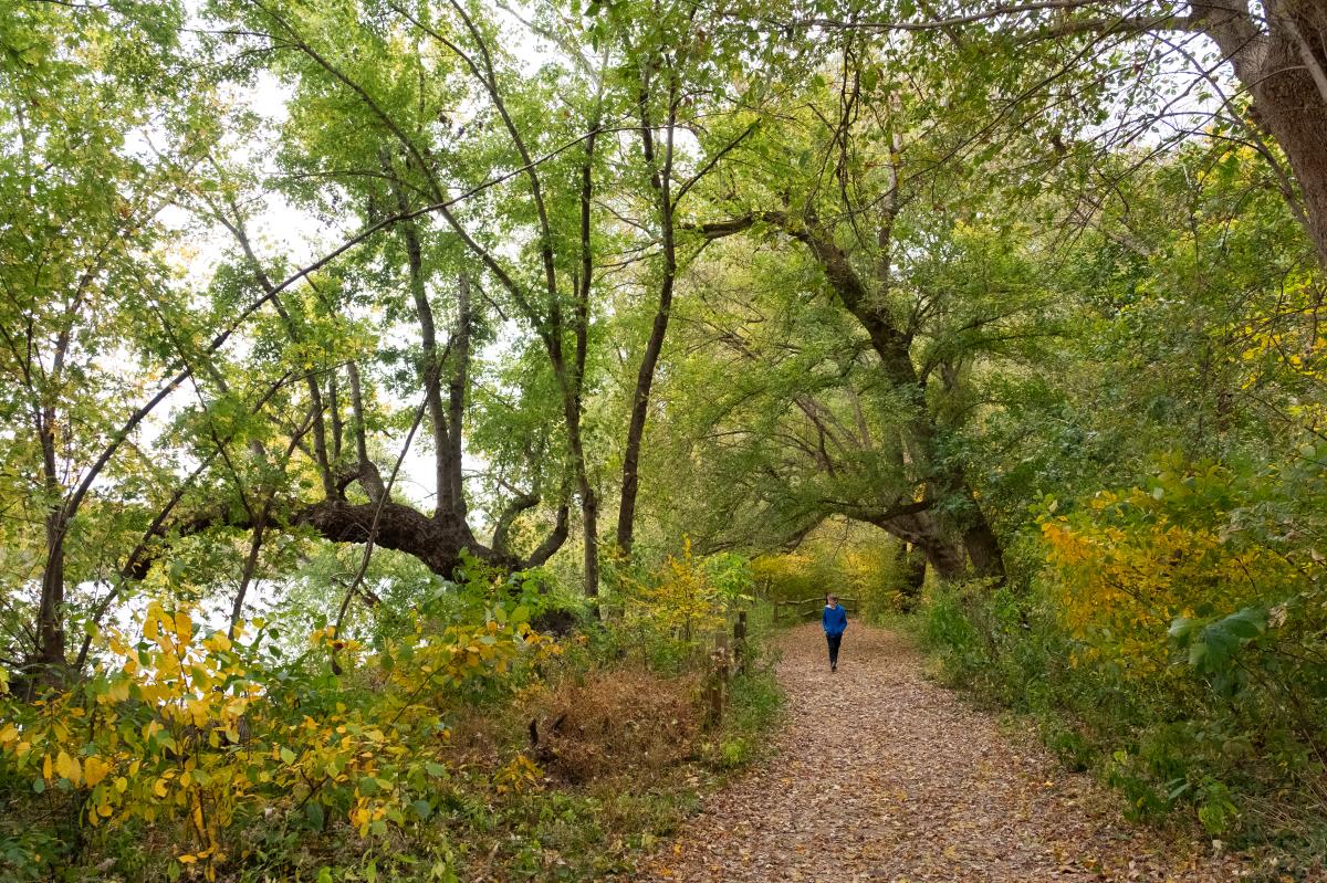 Riverbend Park - Great Falls - Trails - Fall Hiking
