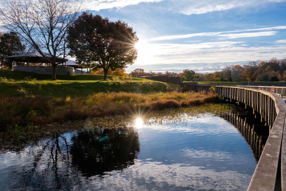 Lake Fairfax- Reston - Fall