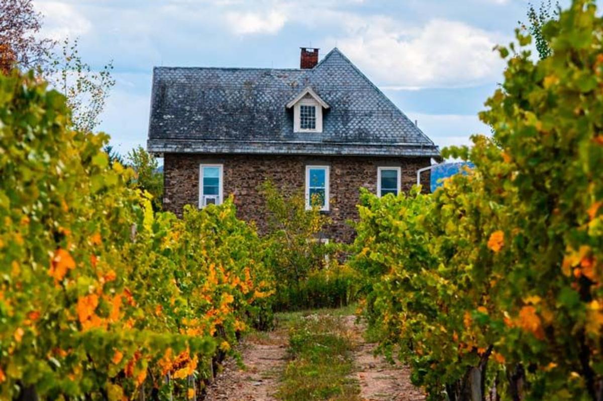 Dr Konstantin Frank Winery in the fall in Finger Lakes Wine Country