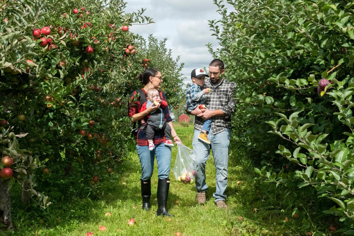 family-apple-picking