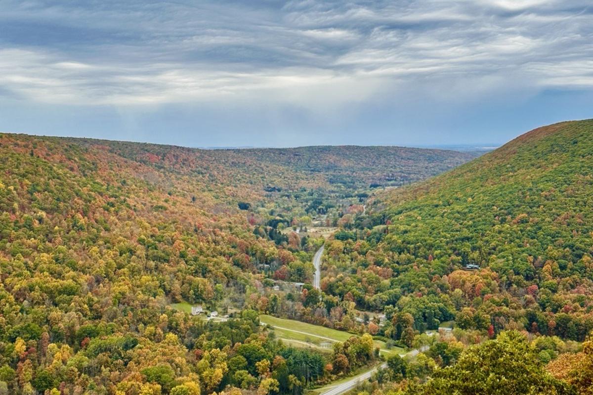 fall foliage overlooking the bristol hills from Ontario County Park at Gannett Hill