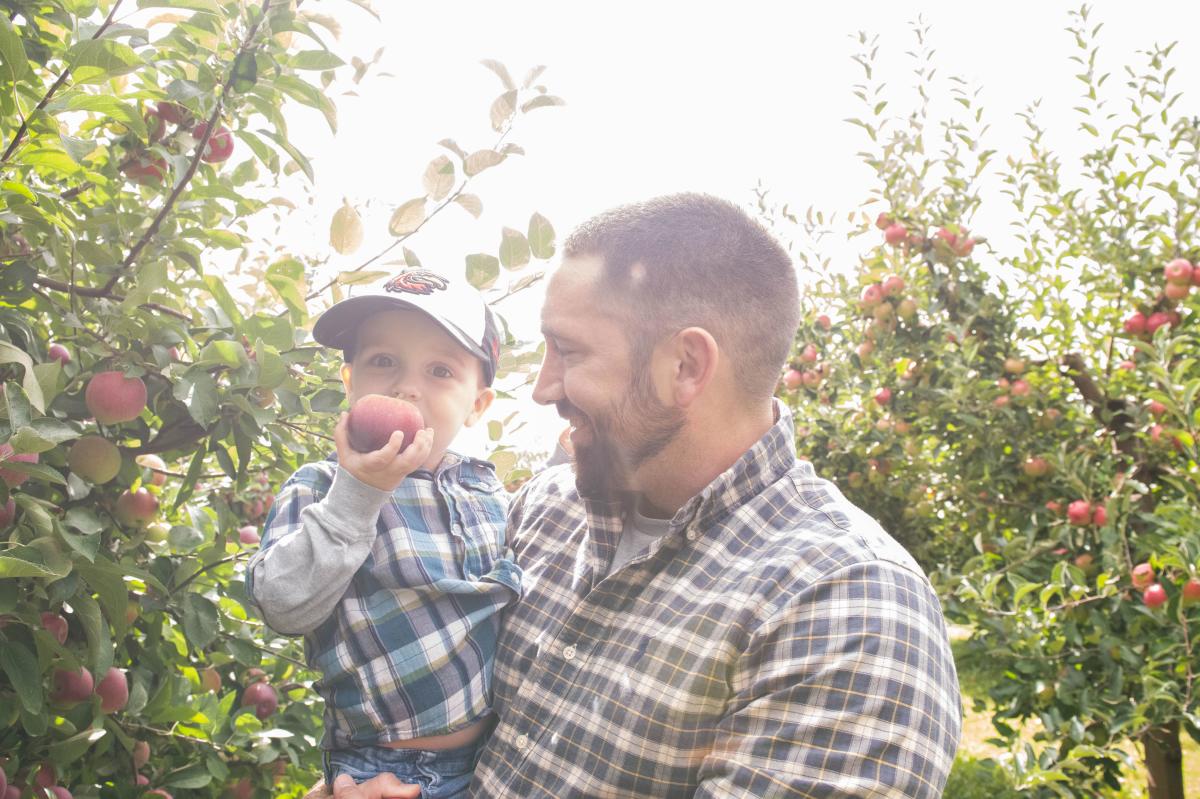 Apple Picking Fun at the Apple Farm