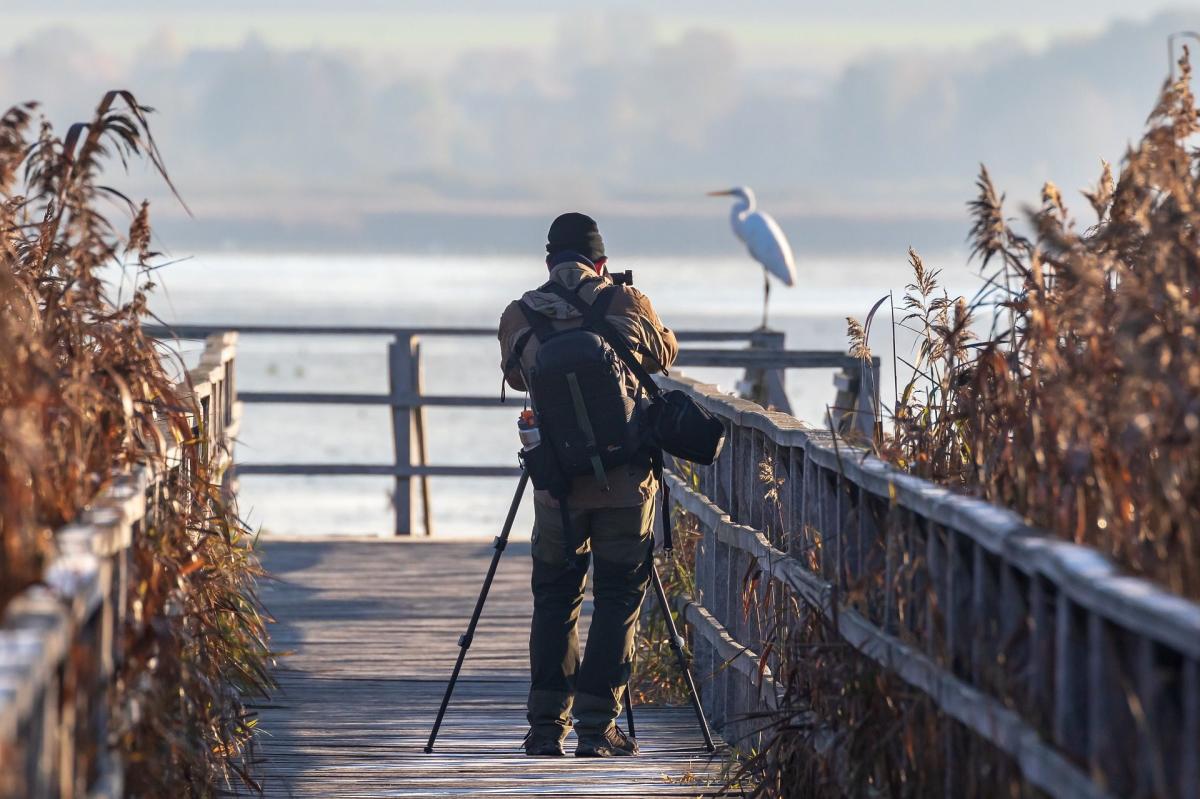 Nature Photographer