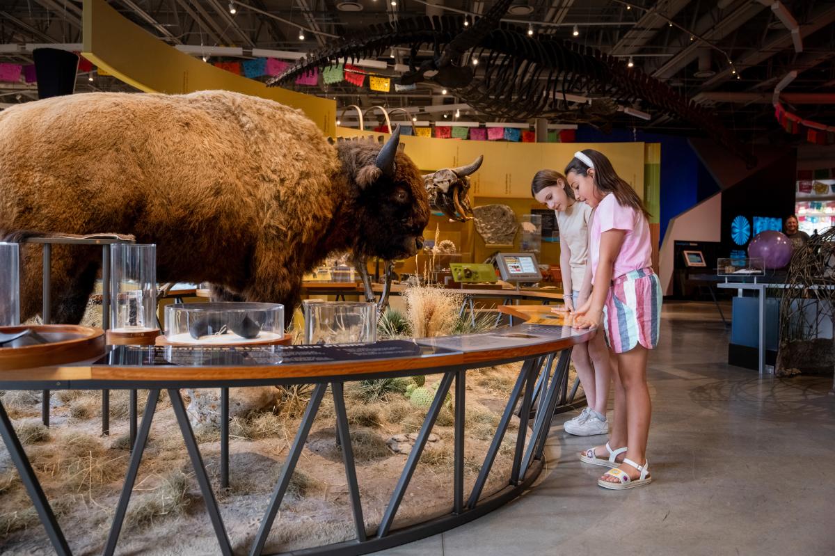 Two girls read at the Museum of Discovery