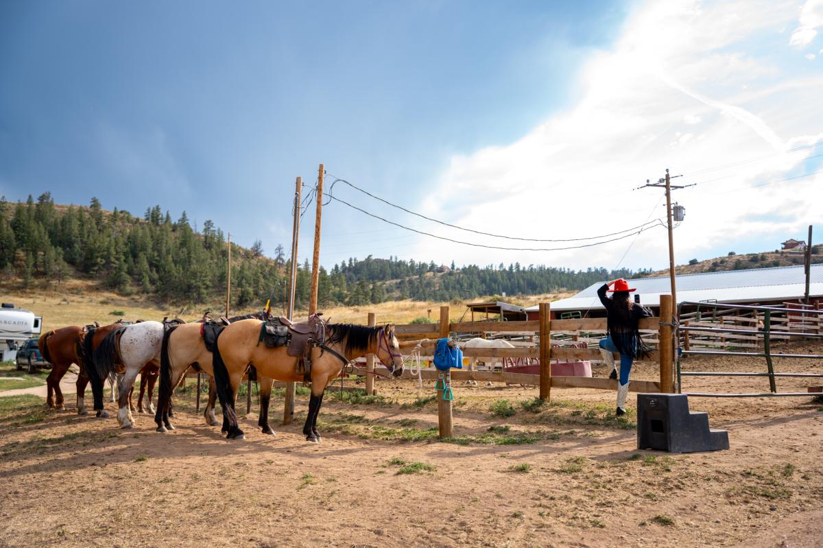 Horses tied up with a girl standing against the fence.