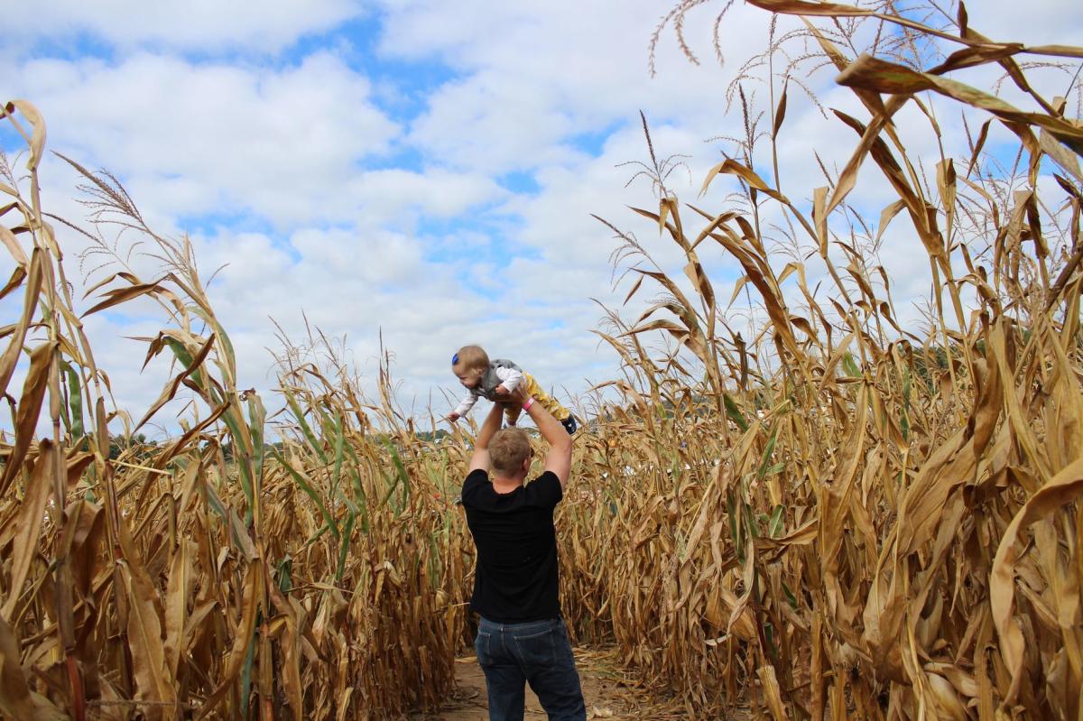 Man holding a child in the air at a Corn Maze