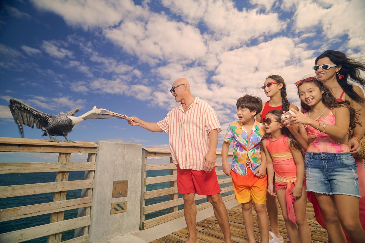 2026 Brand Campaign Pier