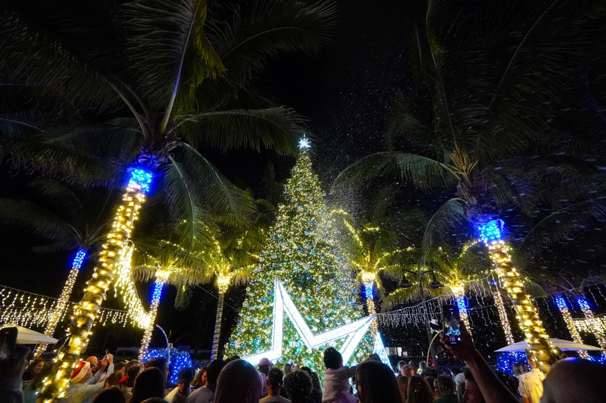 Marina Village Tree Lighting