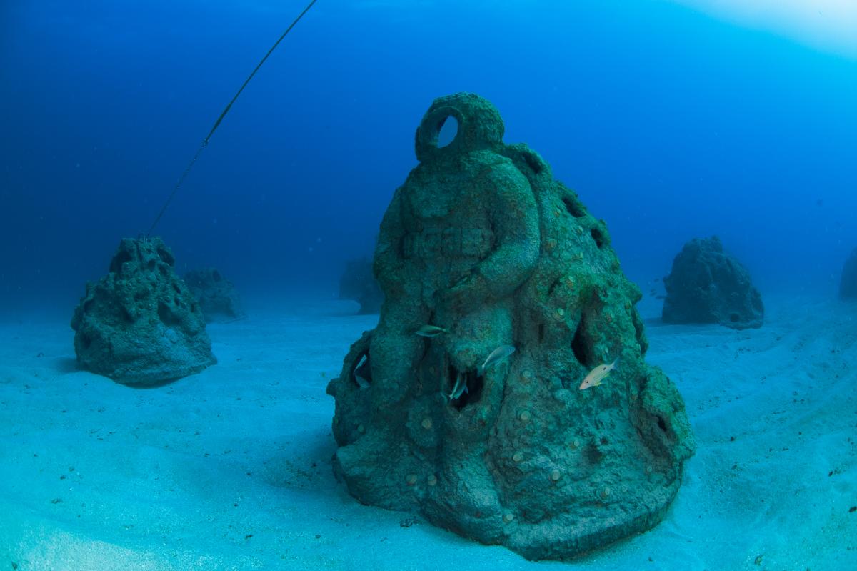 1000 Mermaids Artificial Reef Project
