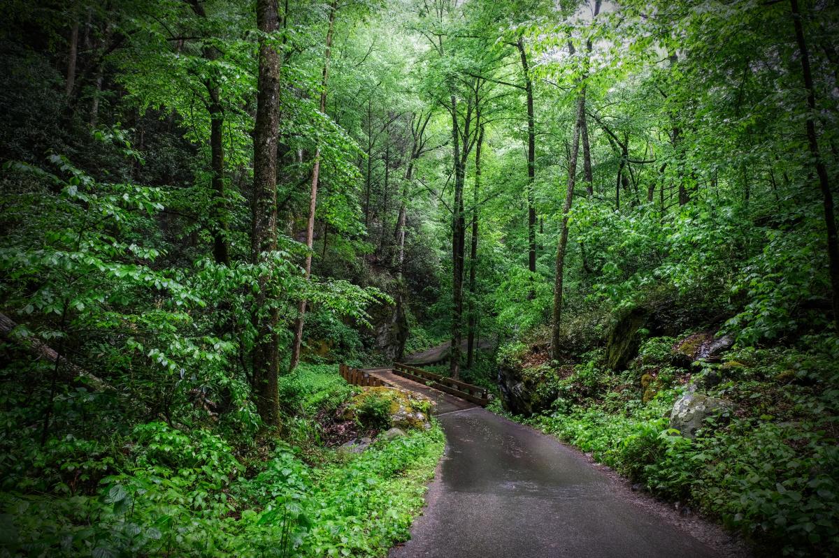Roaring Fork rd