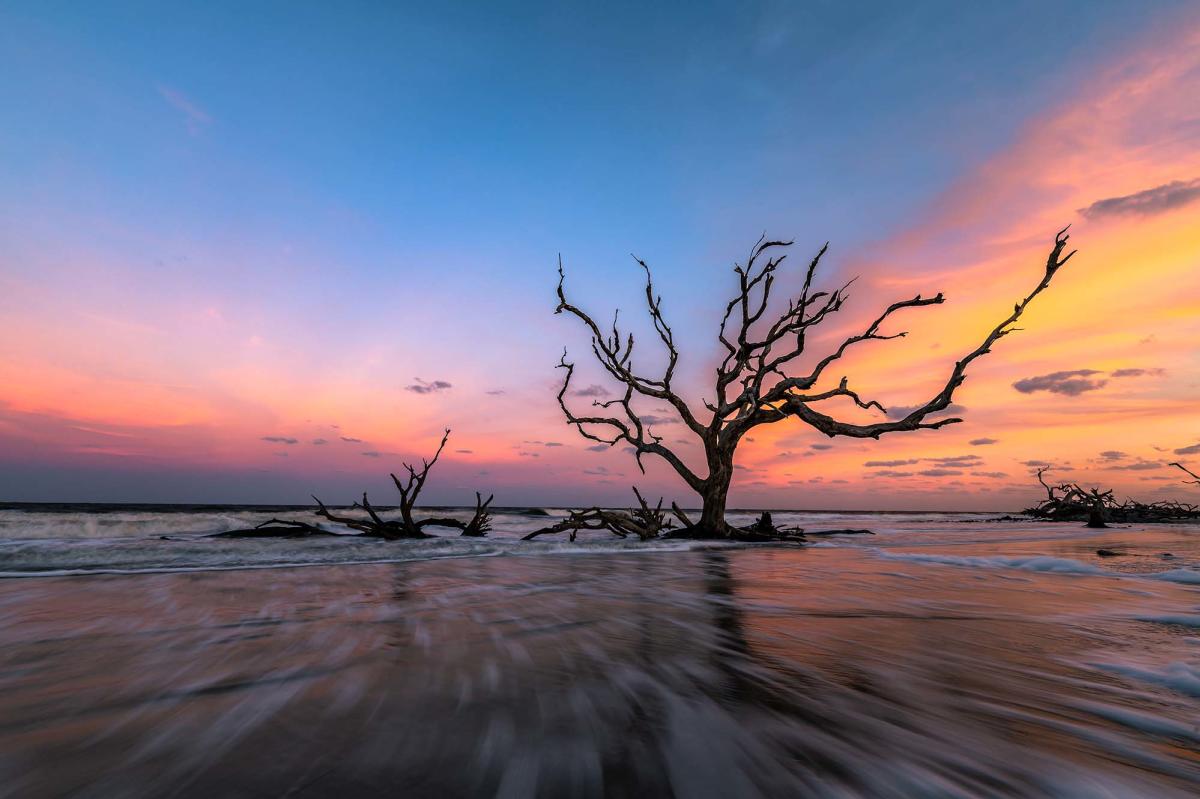 Driftwood Beach is one of the most popular beaches on Jekyll Island, GA