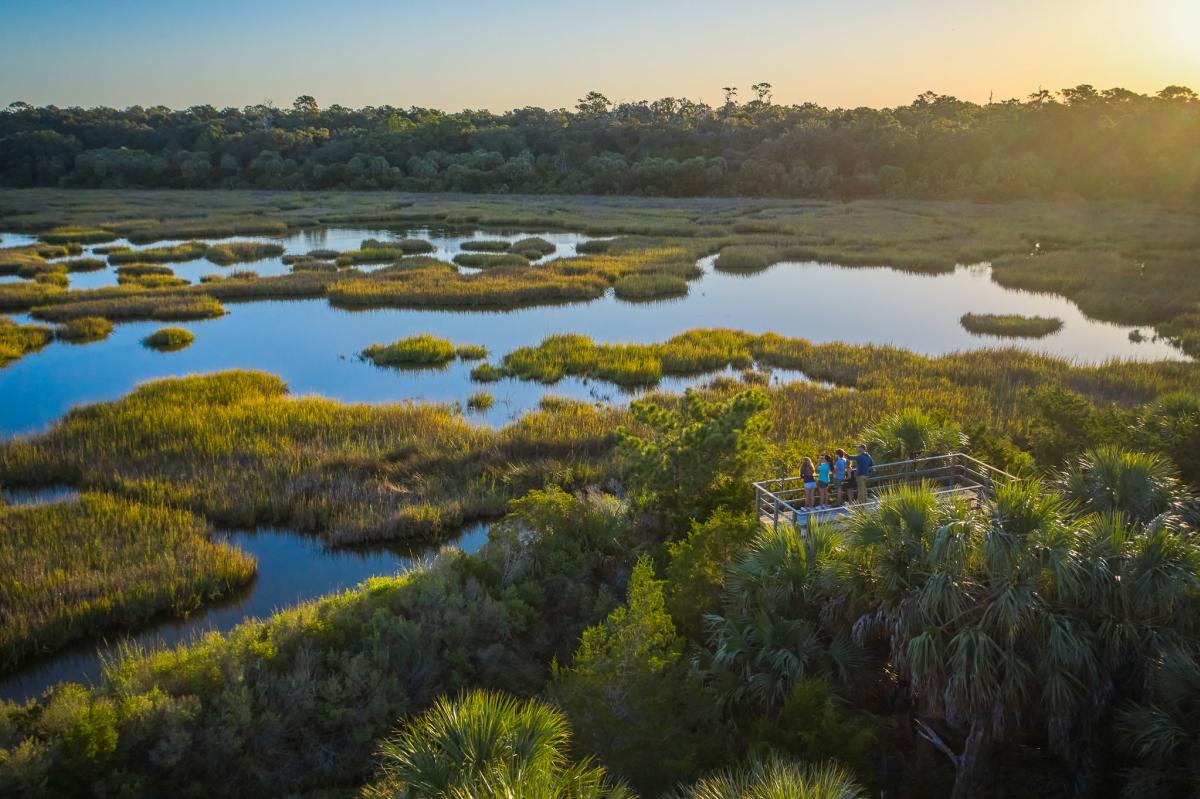 A family searches for native wildlife atop a viewing platform on Little St. Simons Island, GA
