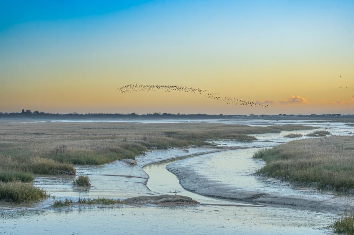 RSPB Pagham