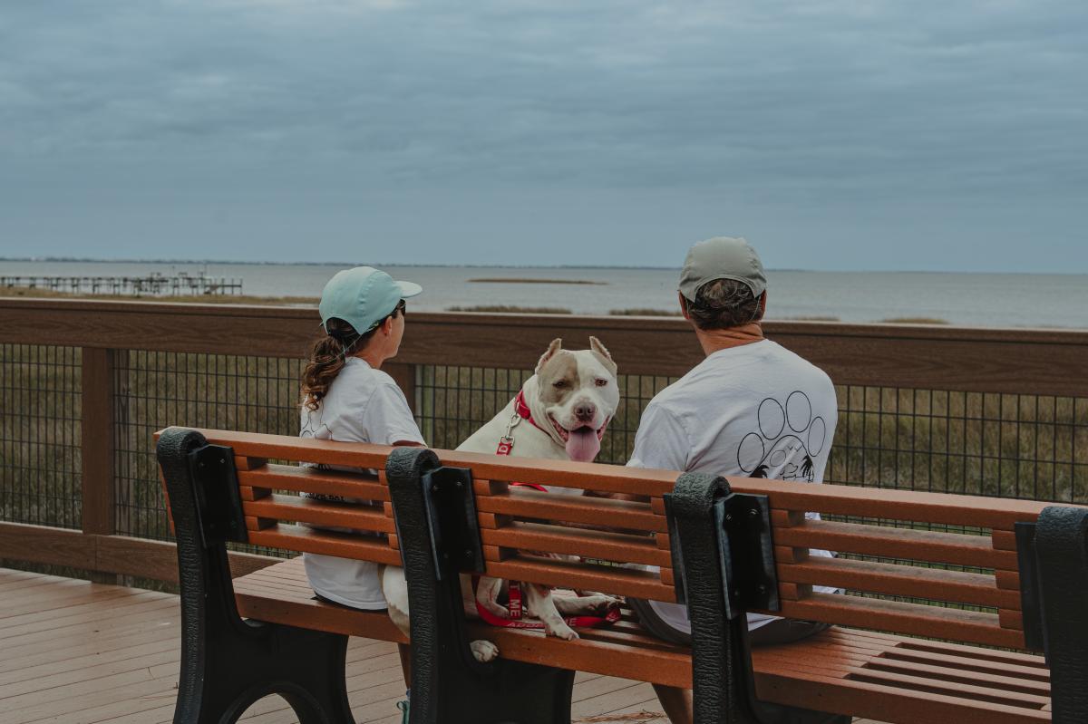 Humane Society dog and volunteers sitting on Salinas Park Boardwalk Bench looking out onto the Bay
