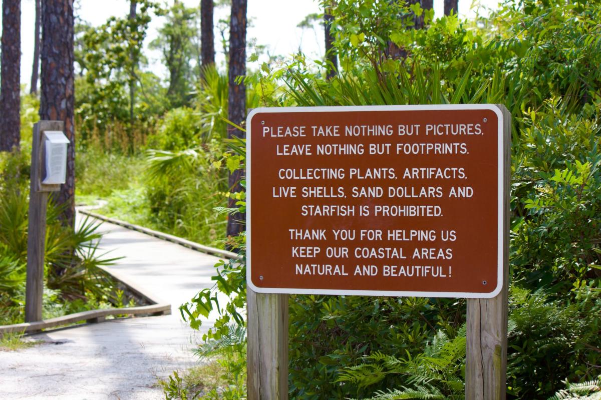 Maritime Hammock Trail