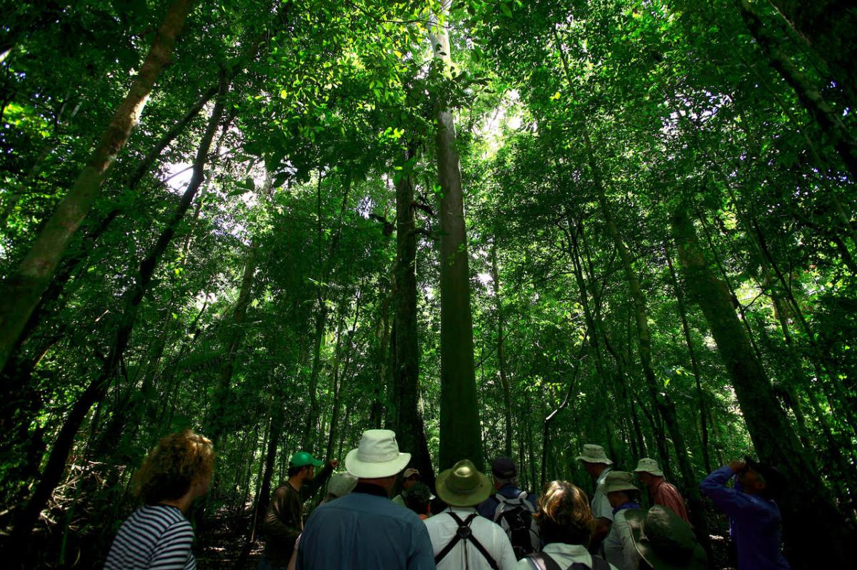 A Luxury Experience on the Amazon River