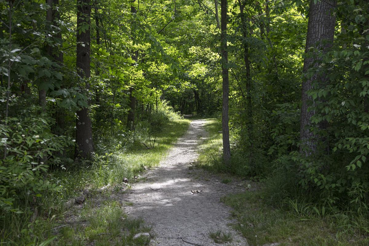 Oubache State Park Trail