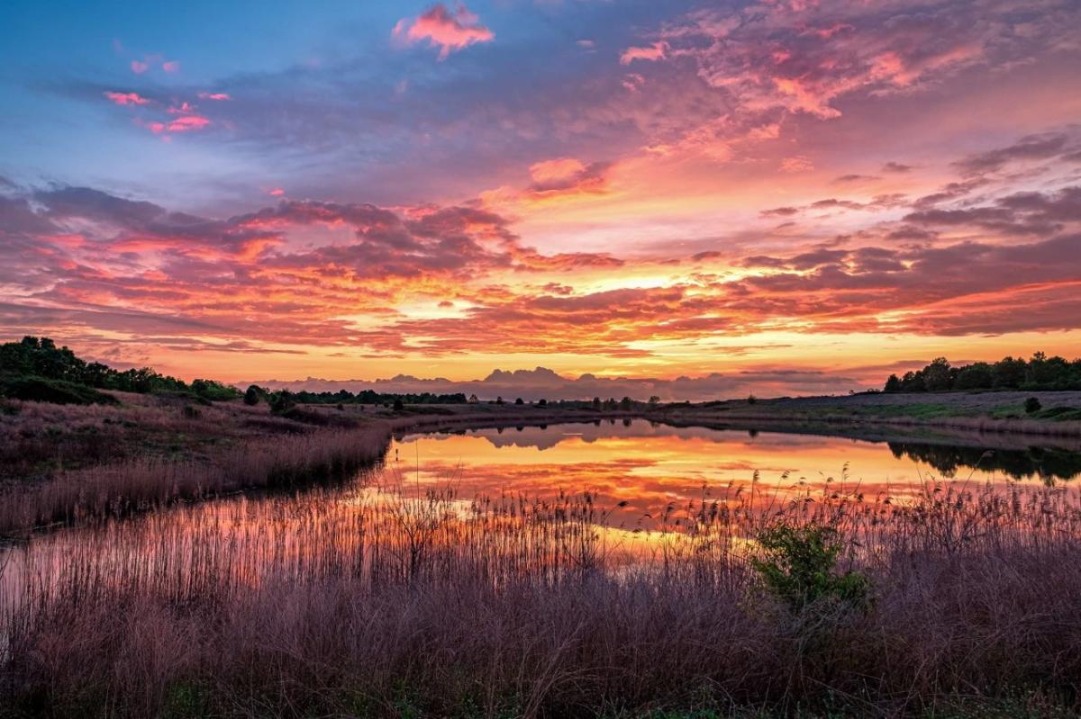 Blue Grass Fish & Wildlife Area