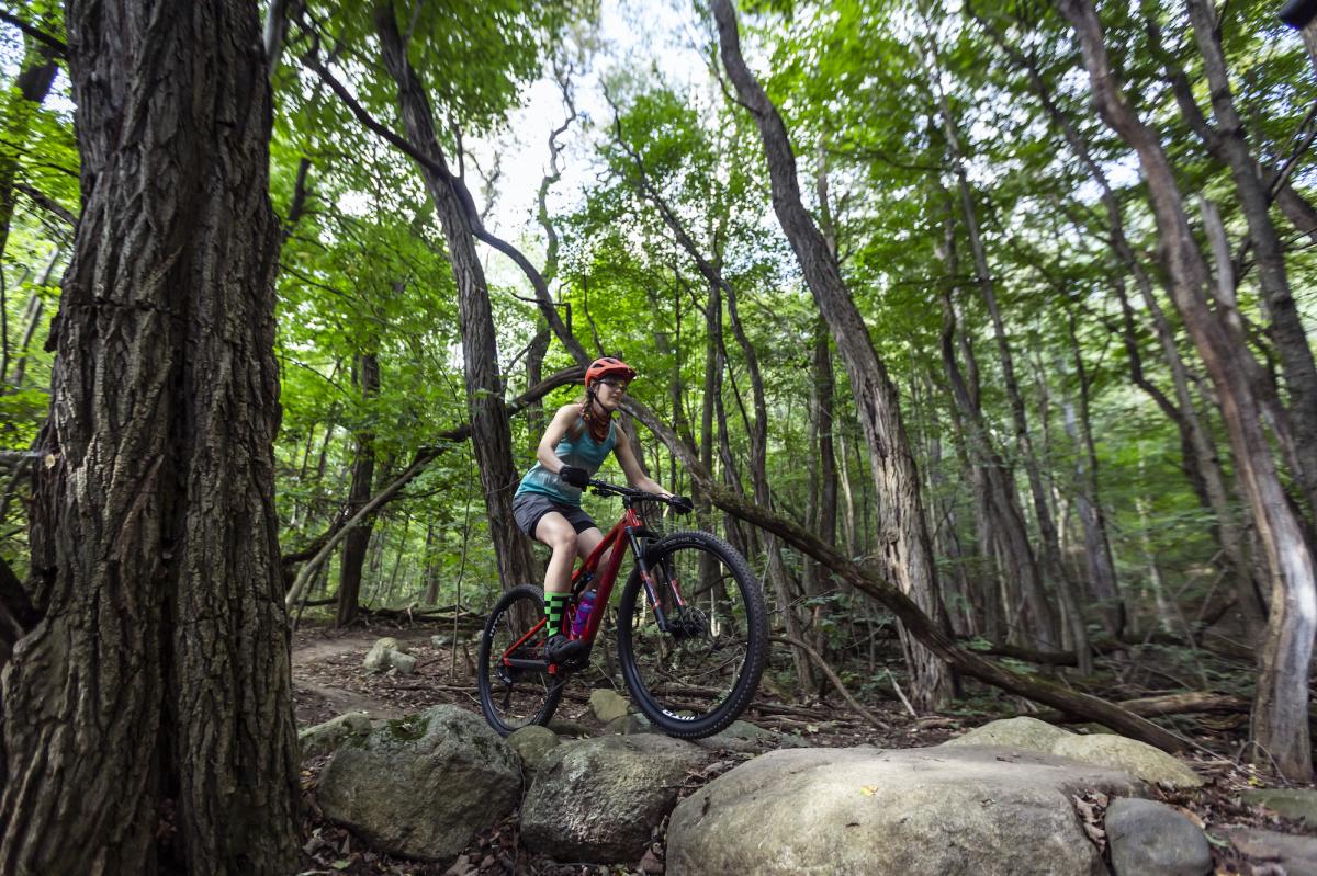 Person riding a bike on rocks in a forest