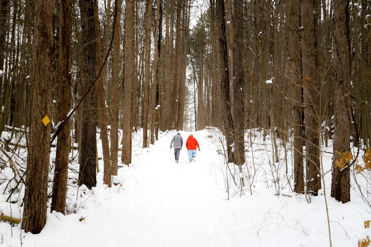 2 people walking through a snow covered forest
