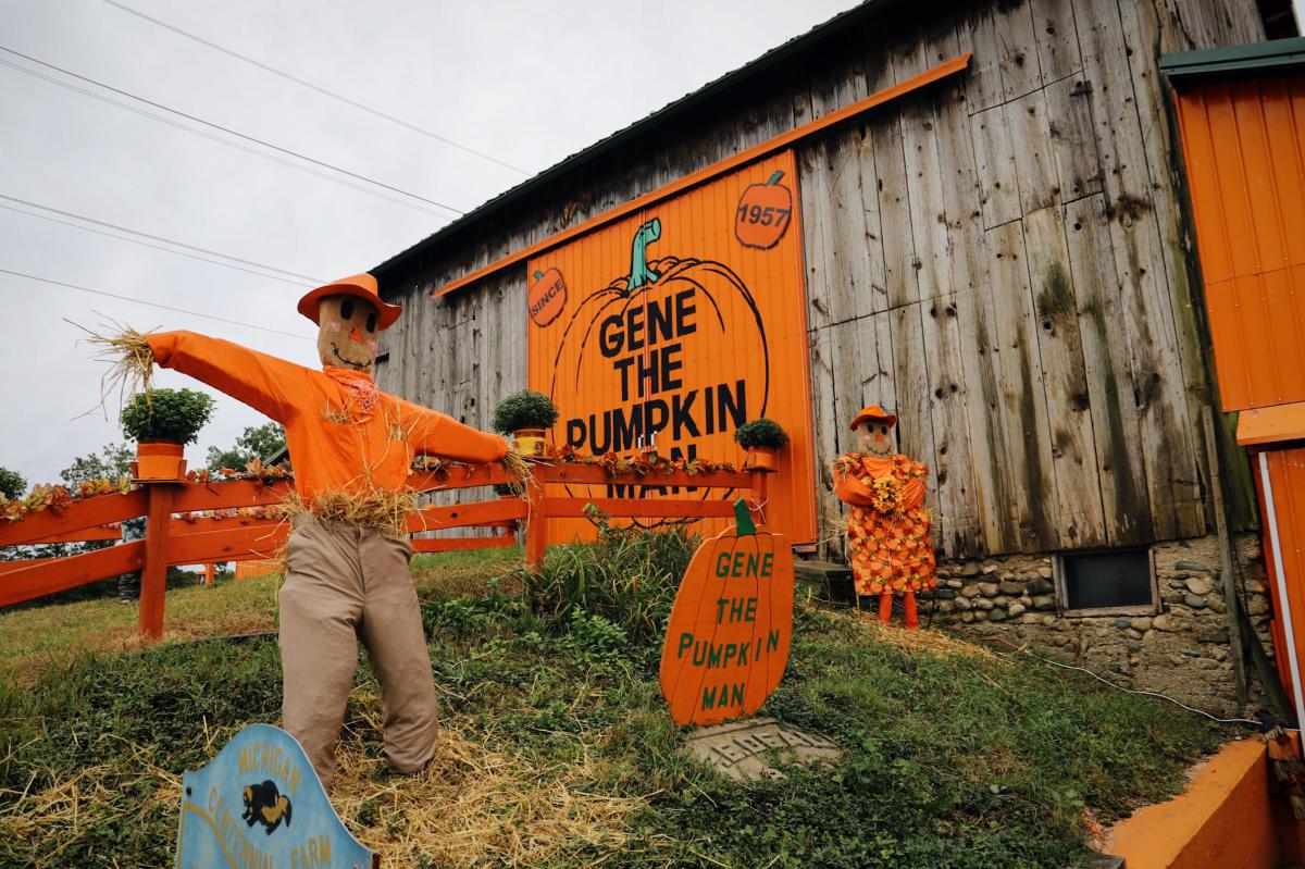 Gene the Pumpkin Man