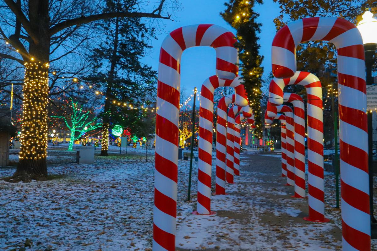 Candy Cane Lane