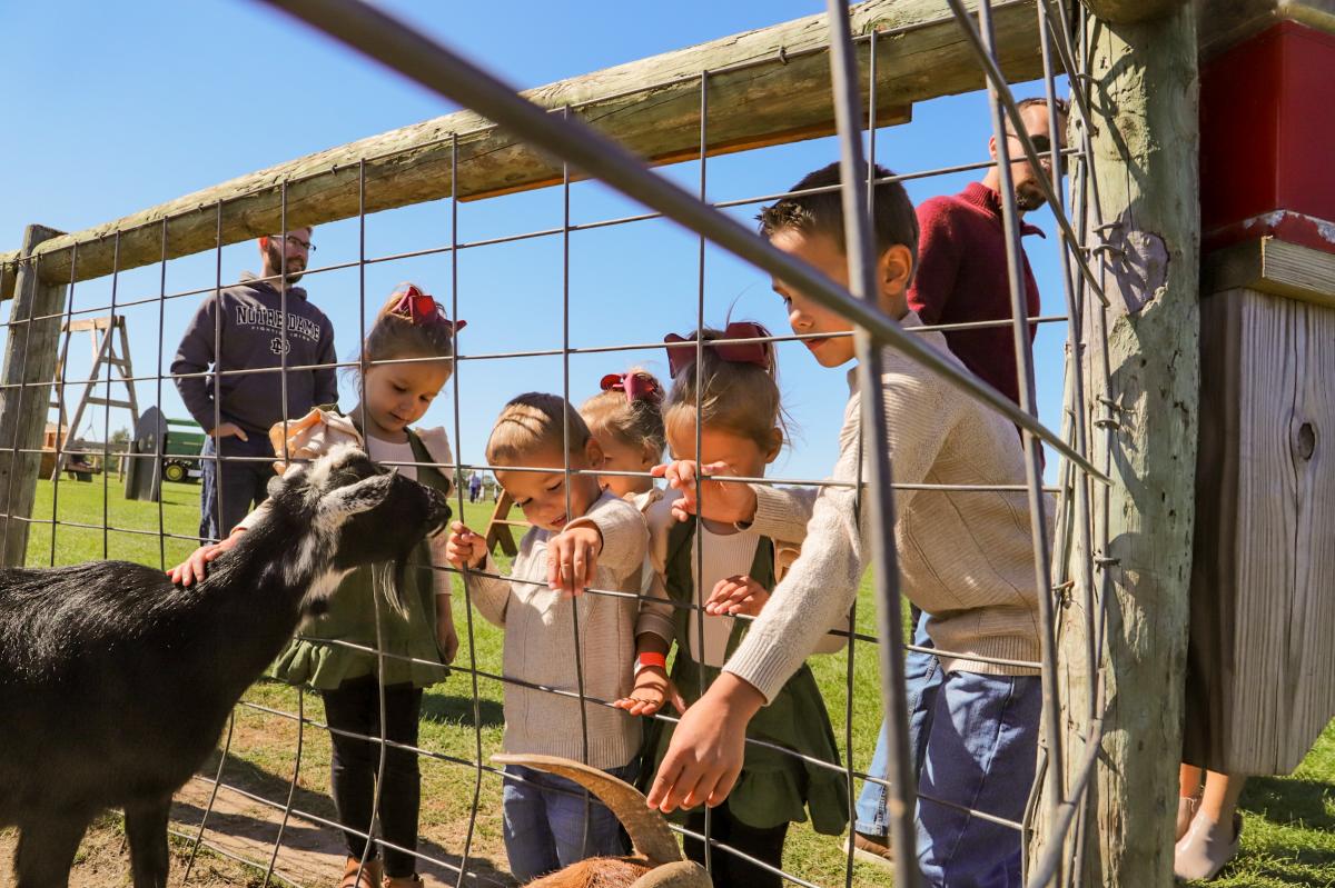 Four different kids stand outside a fence as they offer feed to a baby goat.
