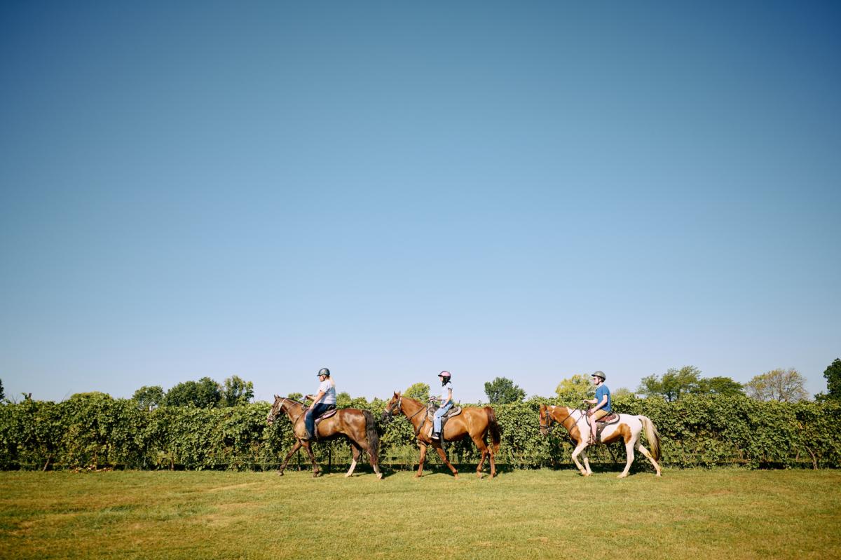 Horseback Riding at Isinglass Estate