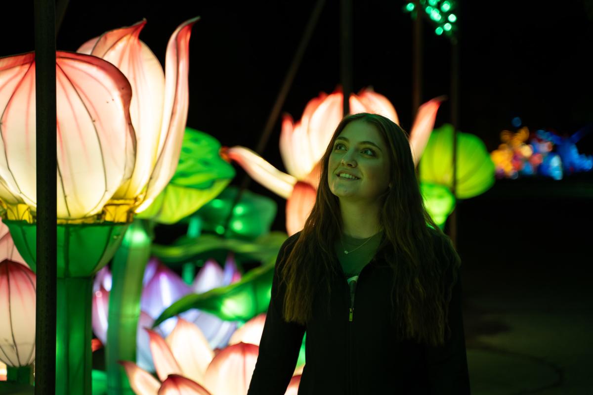 Wild Lights 2025 - Visit Wichita