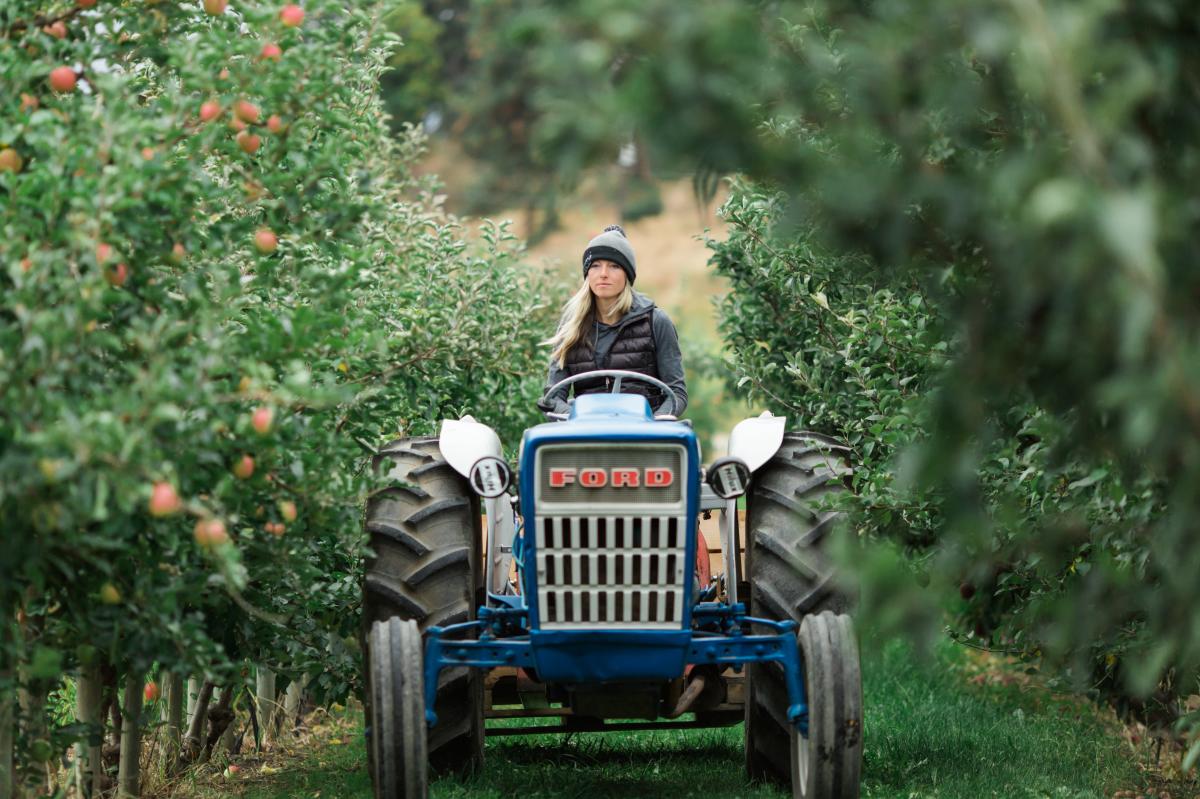Paynter's Fruit Market - Fall Scene (6)
