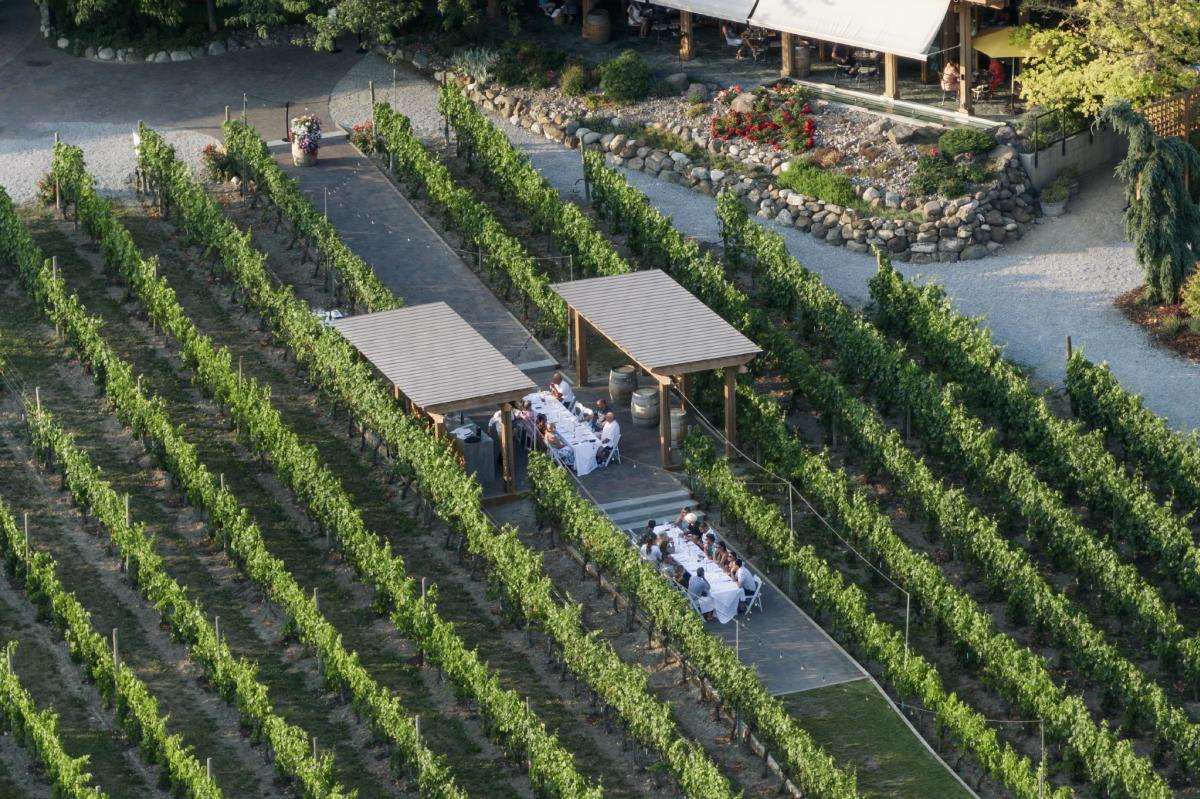 Dinner in the Vineyard at Quails' Gate Estate Winery