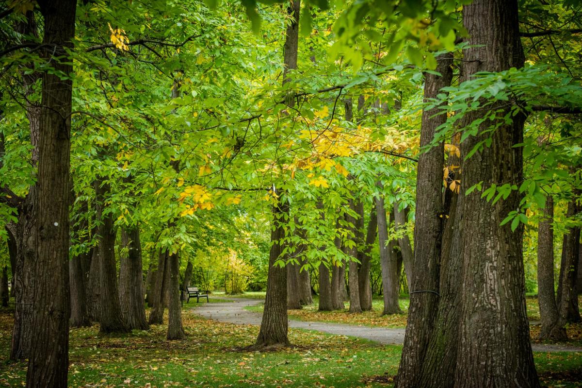 Gellatly Nut Farm Regional Park