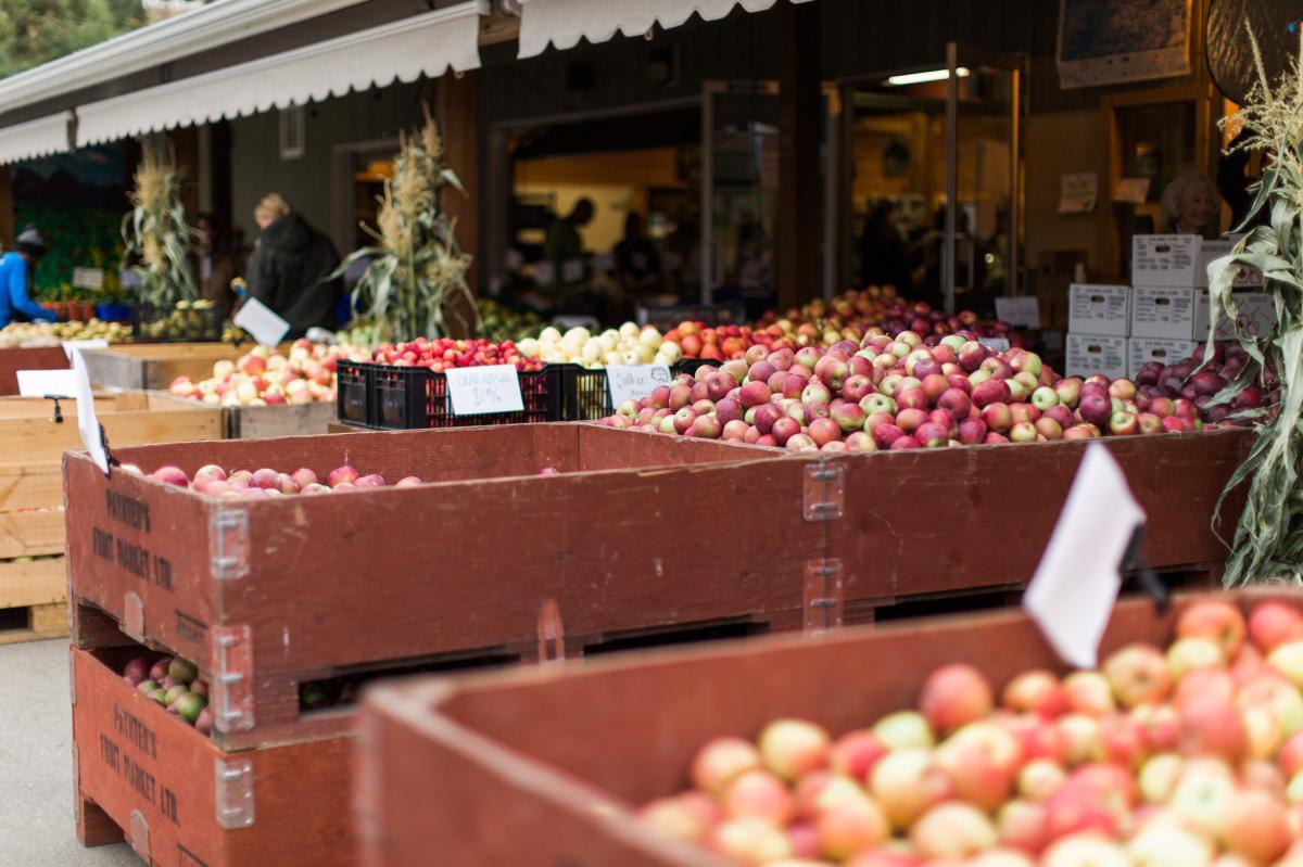 Paynter's Fruit Market - Fall Scene