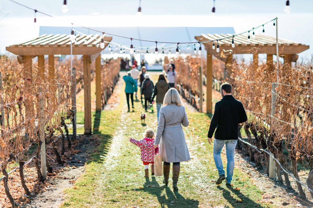 A man and woman with a small child walk a path between two rows of vines at a Kelowna area vineyard