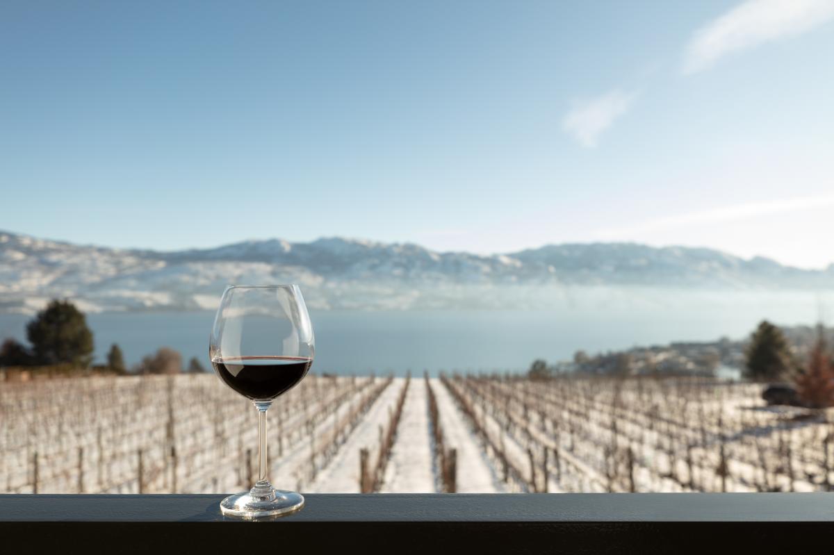 Quails' Gate Winery - Red Wine Glasses with Snowy Vineyards