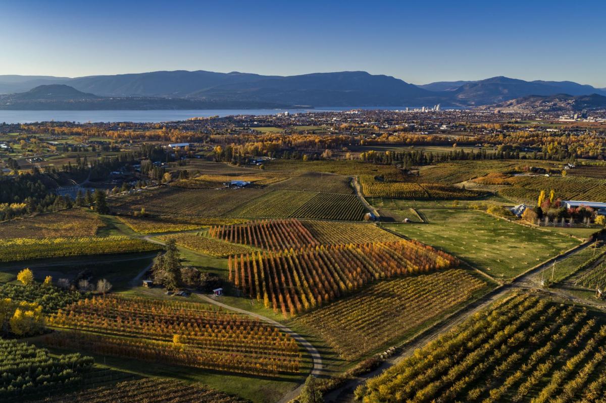 Southeast Kelowna Aerial Fall 10
