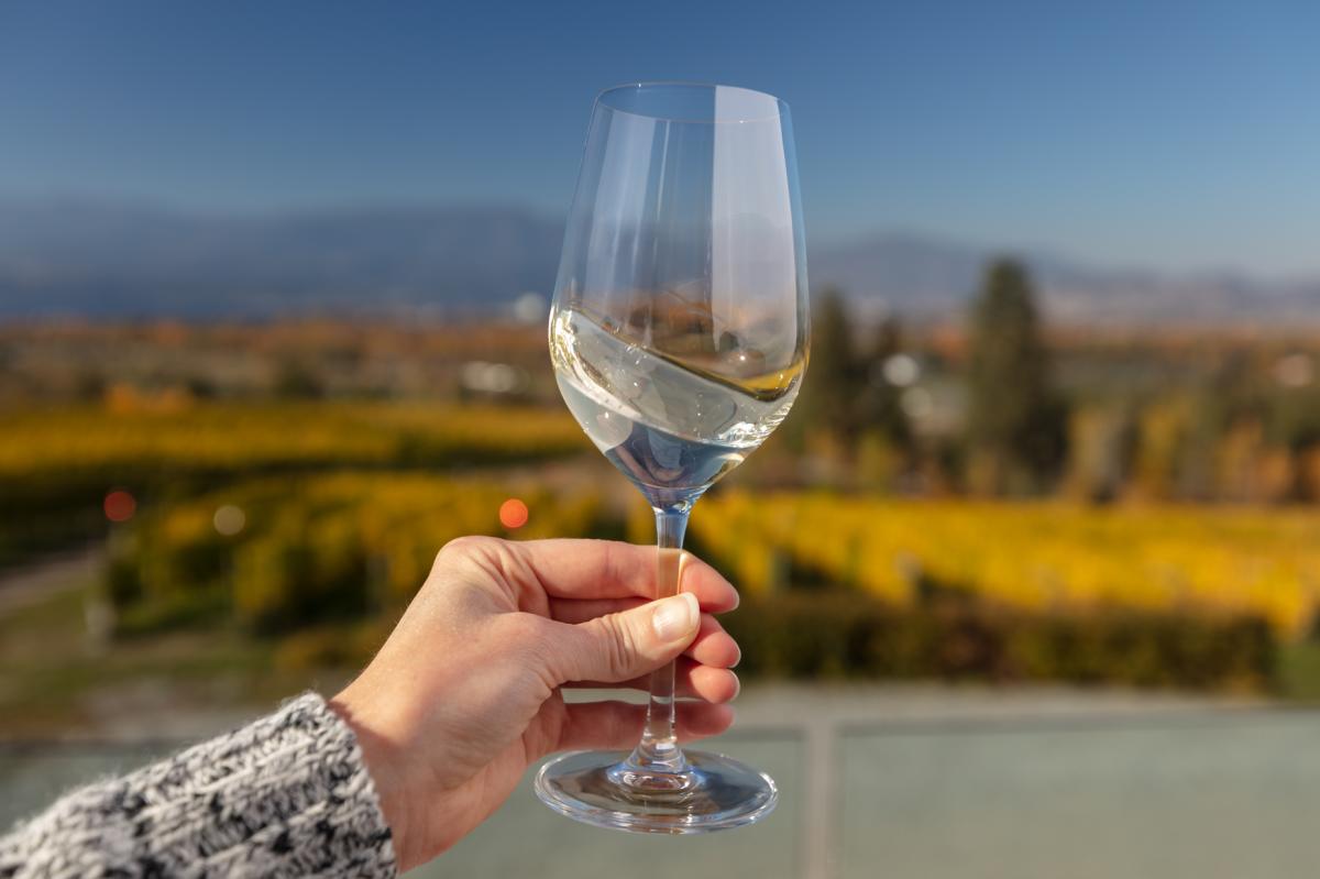 A woman's hand holding a glass of white wine; background is a blurred vineyard in fall