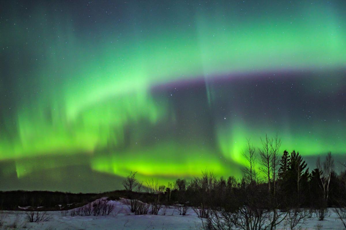 A dazzling display of northern lights dances over a forested landscape.