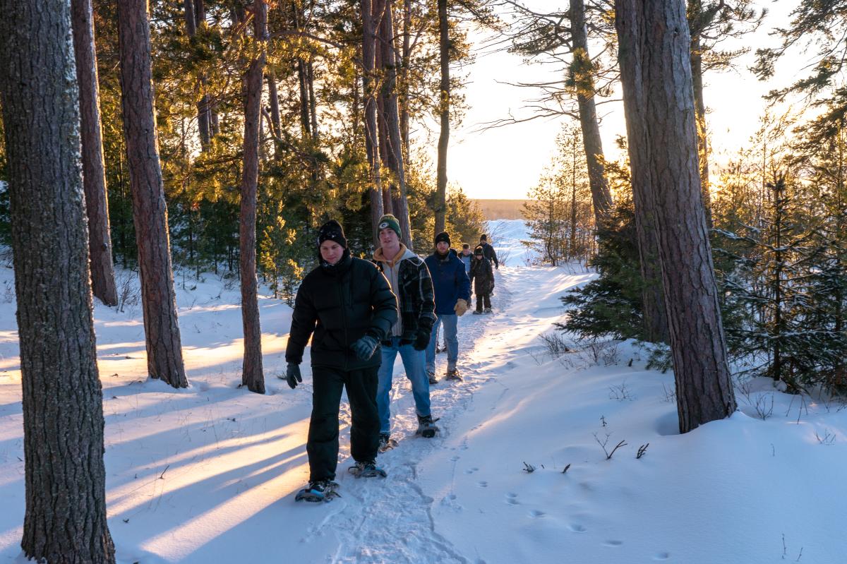 Snowshoers trek the trail at McLain State Park. The sun is setting in the background providing a nice light in the trees.