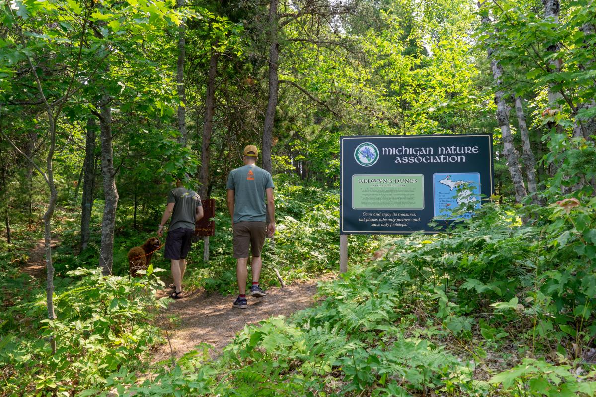 two figures walk on a forested trail alongside a large informational board